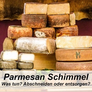 Parmesan Schimmel erkennen, abschneiden oder wegschmeissen